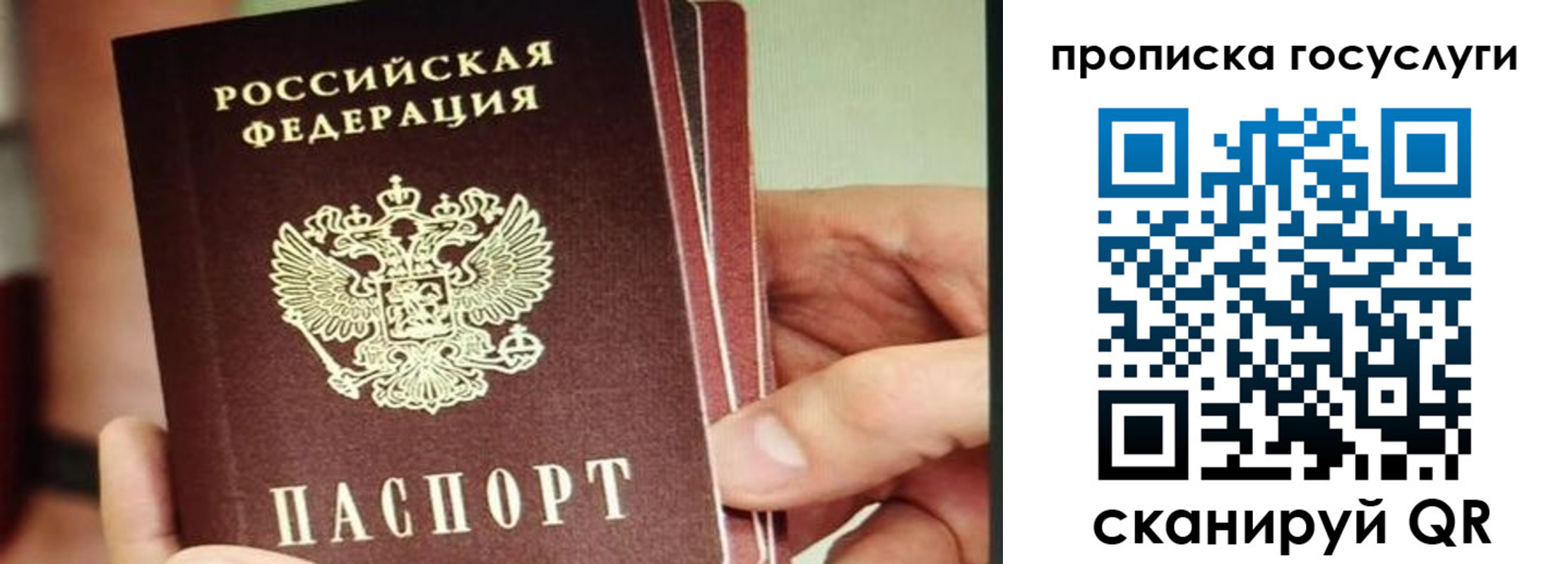 пропишу в квартире в Красногорске
